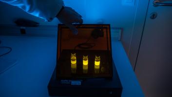 La vacuna Johnson & Johnson de una sola dosis eleva su eficacia al 85% en EEUU