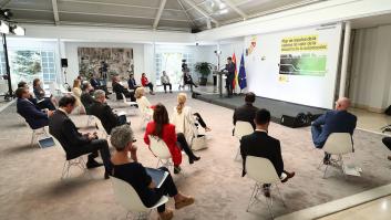 Cómo te va a afectar el rescate del Gobierno al sector del automóvil