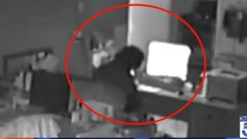 Entra a robar, se entretiene viendo porno y es detenido