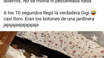 Piensa que su gata estaba muerta y lo que ve cuando mira bien hace historia en Twitter