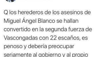 "Vacaciones Santillana": la respuesta de un diputado de Bildu al comentado tuit de Rafael Hernando