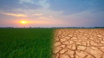 ¿Y si los ciudadanos de todo el mundo pudieran decidir cómo actuar sobre el cambio climático?