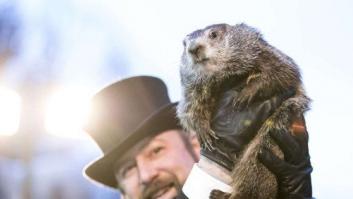 El Día de la Marmota: hay base científica, pero no meteorológica