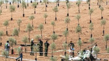 Dos muertos en un accidente de helicóptero en Sevilla