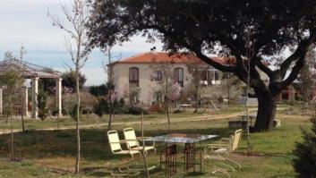 Alfara Gráfica: el lugar de las oportunidades para los artistas, incluso si no tienen recursos