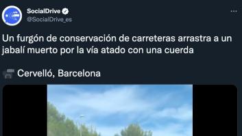 Graban a un furgón de conservación de carreteras con un jabalí y Twitter estalla en reacciones