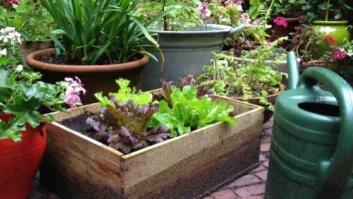 Practica 'urban farming'... o lo que es lo mismo, pon un huerto en tu vida