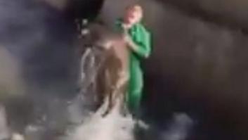 Los Agentes Rurales denuncian a un vecino de Lleida por maltratar a una cría de jabalí