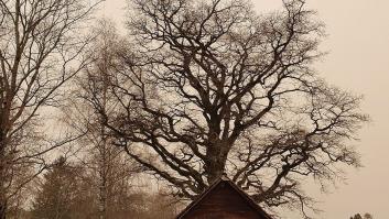 La poesía en español que iluminó el año gris de la covid 19