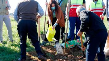 Ayuso contra Gabilondo: dice que no sabe si es soso, pero sí es un "mentiroso"