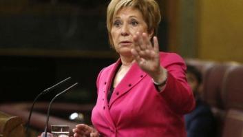 Un tuitero a Celia Villalobos: "Lecciones, señora Villalobos, a otros"