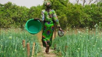El dique que recuperó un vergel en Senegal