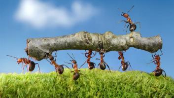 Pensar en los demás