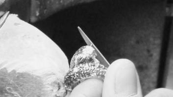 En defensa de los fabricantes de lujo españoles