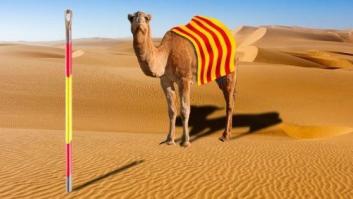 La espiral secesionista y la estrategia del PP