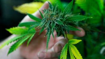 Denuncian un falso robo en su casa de Granada, la Guardia Civil acude y descubre una plantación de marihuana