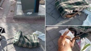 Hallan un perro muerto dentro de un carro de la compra en Fuenlabrada