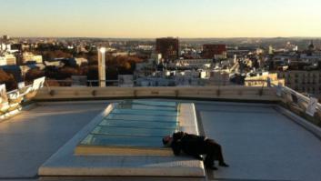 24 horas en la vida de Madrid, en 24 fotos: una exposición de PHotoEspaña