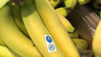 Cinco reglas para elegir alimentos que mejoren su salud y la del planeta