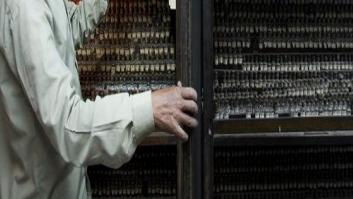 La homeopatía no aprueba estadística