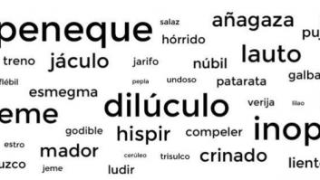 ¿Sabes tanto vocabulario como crees? Un juego hecho con 'El pequeño libro de las 500 palabras para parecer más culto'