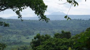 Día de la Tierra: 10 maravillas de la naturaleza amenazadas