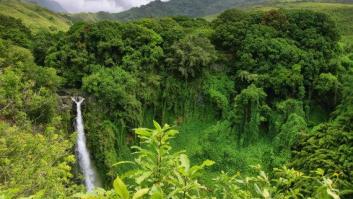 Así será el mundo tras el apocalipsis