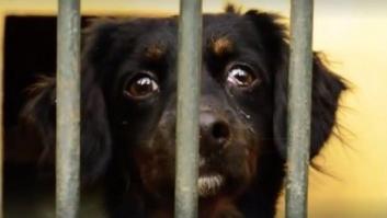 Una joven arrasa en Facebook con su trabajo para el instituto