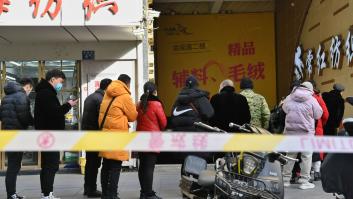 La OMS pide prohibir la venta de animales salvajes en mercados de comida