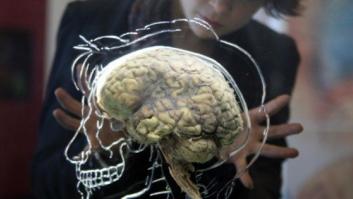 De mayor quiero ser Ingeniero de Órganos