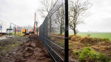 Dinamarca erige una alambrada en la frontera con Alemania contra la fiebre porcina