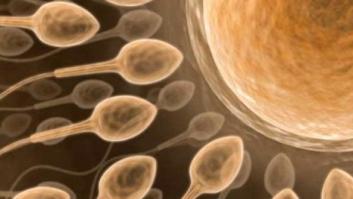 El cincuenta por ciento de los casos de infertilidad masculina son genéticos