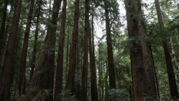 'We've Got the Power': una política para descarbonizar el planeta