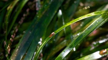 Cascadas que... ¡no son de agua!
