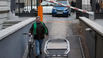 Un nuevo partido verde se integrará en Podemos para pelear por el voto ecologista