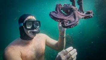 Del documental al 'buddy film': 'My Octopus Teacher'