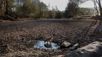 Pozos ilegales, falta de gestión y derroche: la sequía es algo más que la falta de lluvia