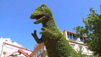 El drama veraniego de Dinoseto (FOTOS)