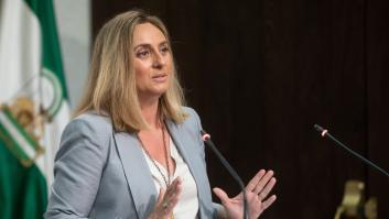 El PP andaluz, "decepcionado" con el cambio de Vox "que no se entiende" y tiene que "explicar"