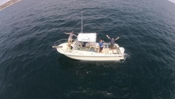 Esta ballena jorobada lanza un arcoíris desde su agujero y es la reina del mar