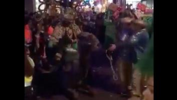 El Baltasar de La Laguna (Tenerife) indigna por lo que hizo a este camello