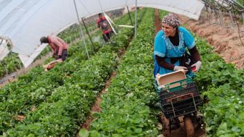 Marruecos abrirá las fronteras para posibilitar la vuelta de 12.000 temporeras de la fresa