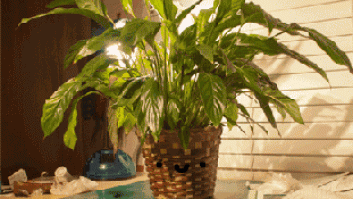 9 terribles cambios que se producen en tu casa cuando llega el calor (GIFS)