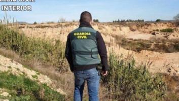 Arrojan por un barranco los cadáveres de siete caballos para no pagar su incineración