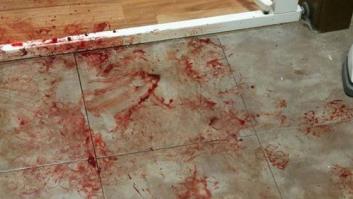 Terrible: la viral publicación que muestra la desesperación de una perra por los petardos