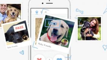 Tindog, el Tinder de los perros: ¡ellos también tienen que ligar!