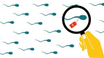 El vacío legal del semen a la carta