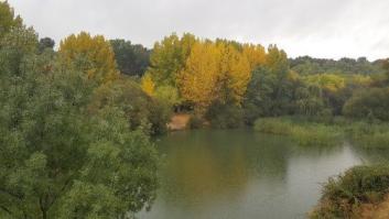 Los geógrafos se unen en Madrid