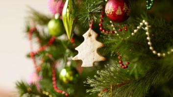 Un veterinario advierte que en invierno seguimos a merced de las garrapatas: se esconden hasta en árboles de Navidad