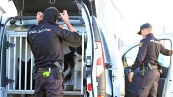 La operación contra la mafia china afecta a 11 provincias con 55 detenidos